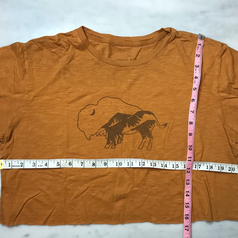 Cotton Cropped T-Shirt Buffalo Starry Mountain Med